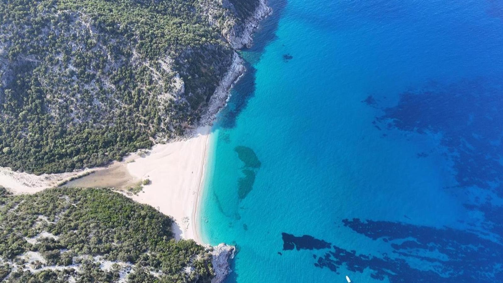 فيلا Trilocale Dory A San Teodoro سان تيودورو المظهر الخارجي الصورة